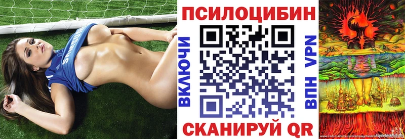 как найти закладки  darknet Telegram  Галлюциногенные грибы Psilocybine cubensis  Тамбов 